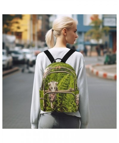 Backpack Purse for Women Baby Opossum, Mini Fashion Backpack Cute Funny Lightweight Casual Daypack Shoulder Bag Travel Backpa...