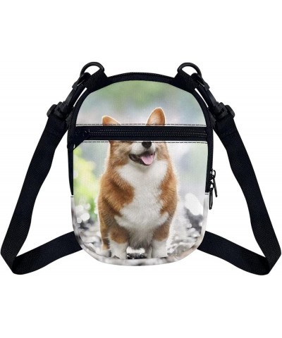 Small Crossbody Bag for Men Women Lightweight Zipper Messenger Bag Shoulder Sling Handbag Adjustable Strap Cute Corgi $9.50 C...