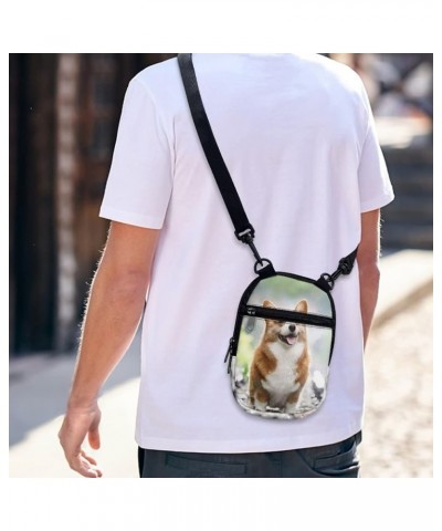 Small Crossbody Bag for Men Women Lightweight Zipper Messenger Bag Shoulder Sling Handbag Adjustable Strap Cute Corgi $9.50 C...