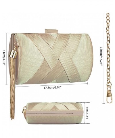 Women's Evening Handbags Elegant Tassel Bag Clutch Purse for Bride Wedding Prom Night Out Party $23.78 Evening Bags