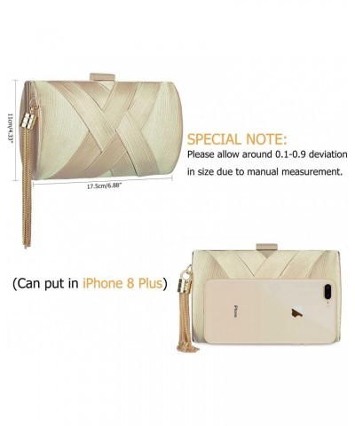 Women's Evening Handbags Elegant Tassel Bag Clutch Purse for Bride Wedding Prom Night Out Party $23.78 Evening Bags