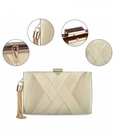 Women's Evening Handbags Elegant Tassel Bag Clutch Purse for Bride Wedding Prom Night Out Party $23.78 Evening Bags